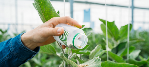 Custom IPM Program — Precision Plant Protection for Your Farm