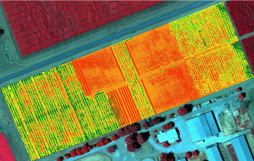 Remote Sensing Data Analysis — Turn Drone & Satellite Data Into Crop Intelligence